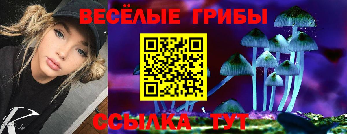 Галлюциногенные грибы MAGIC MUSHROOMS Печора