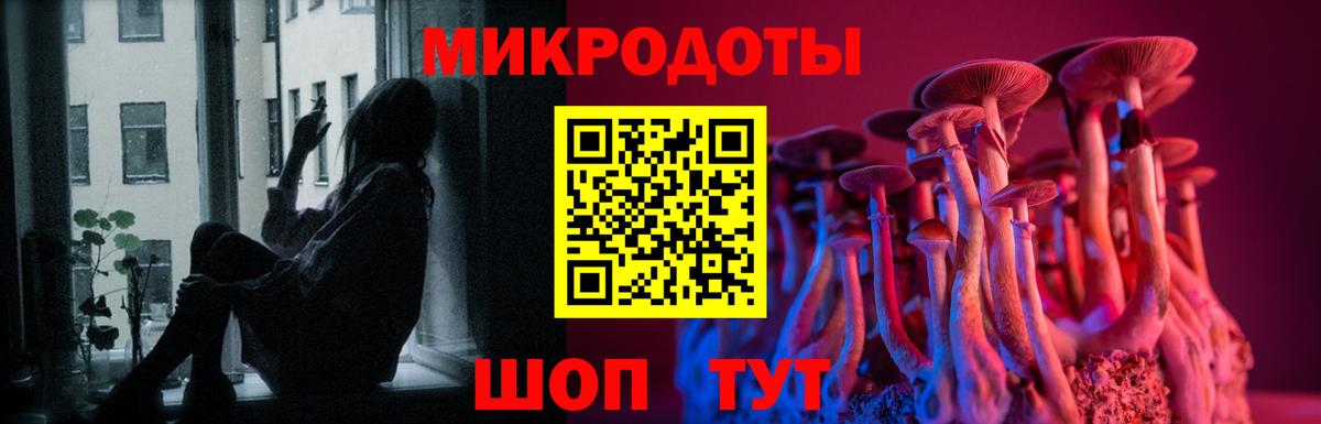 Галлюциногенные грибы GOLDEN TEACHER  Вход с VPN  Псилоцибиновые грибы прущие грибы  Печора 